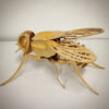 Mosca Quebra Cabeça 3d Miniatura Em Mdf