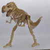 T Rex B Quebra Cabeça 3d Miniatura Em Mdf - Image 5
